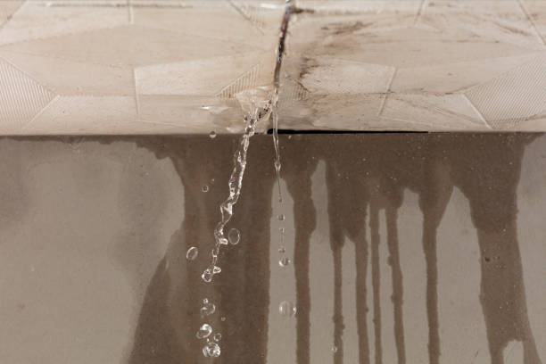 Professional Burst Pipe Cleanup technician working in Tiff, MO